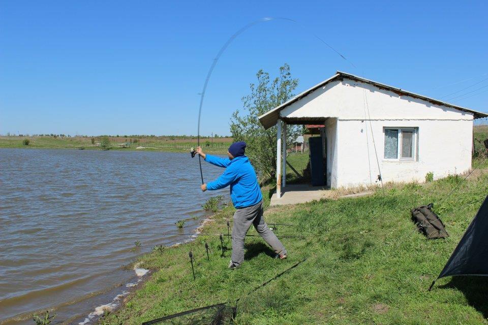 La Greaca Cercani in familie - 5330043949985938538391574799389n.jpg